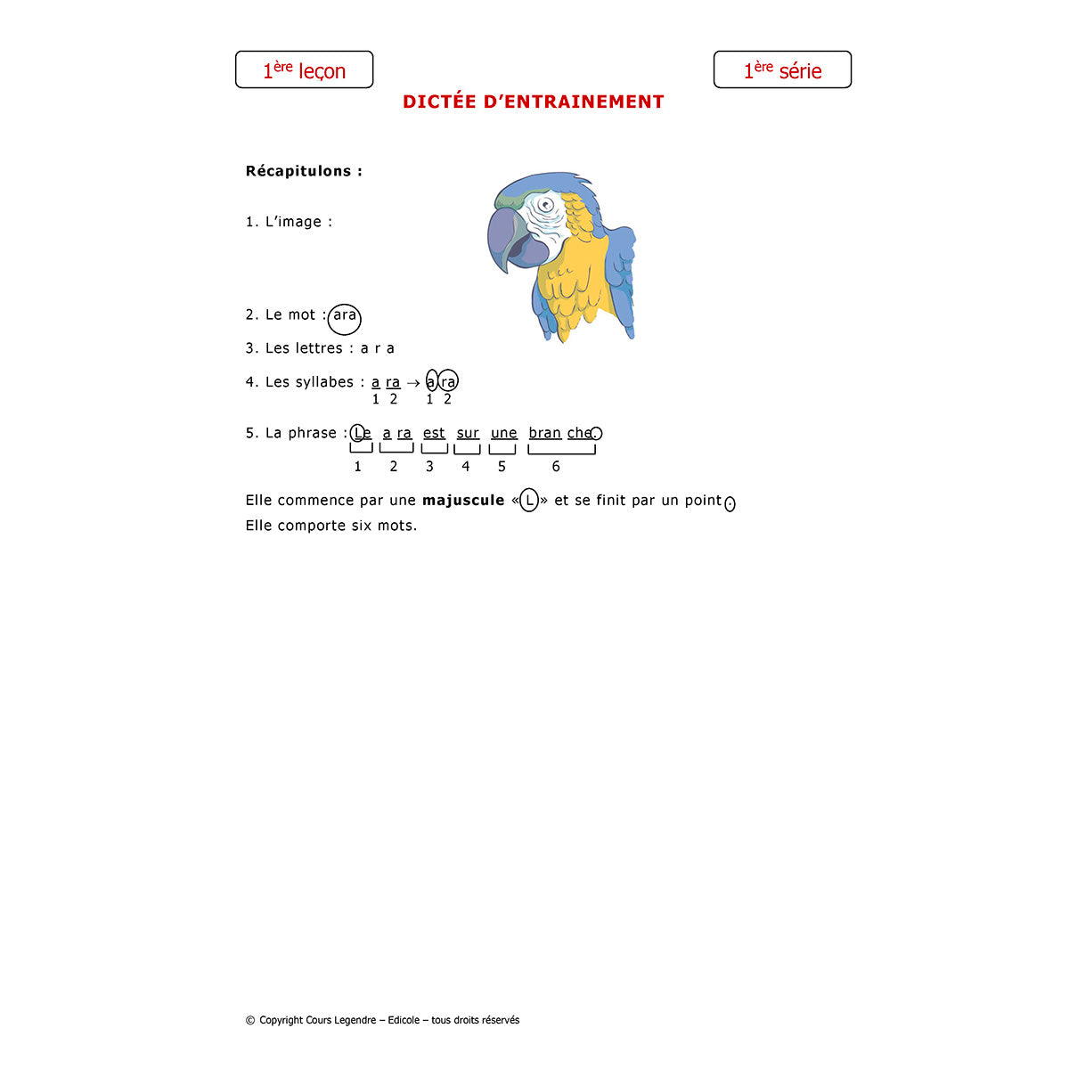 Mon année de CP - Français avec 6 devoirs à envoyer