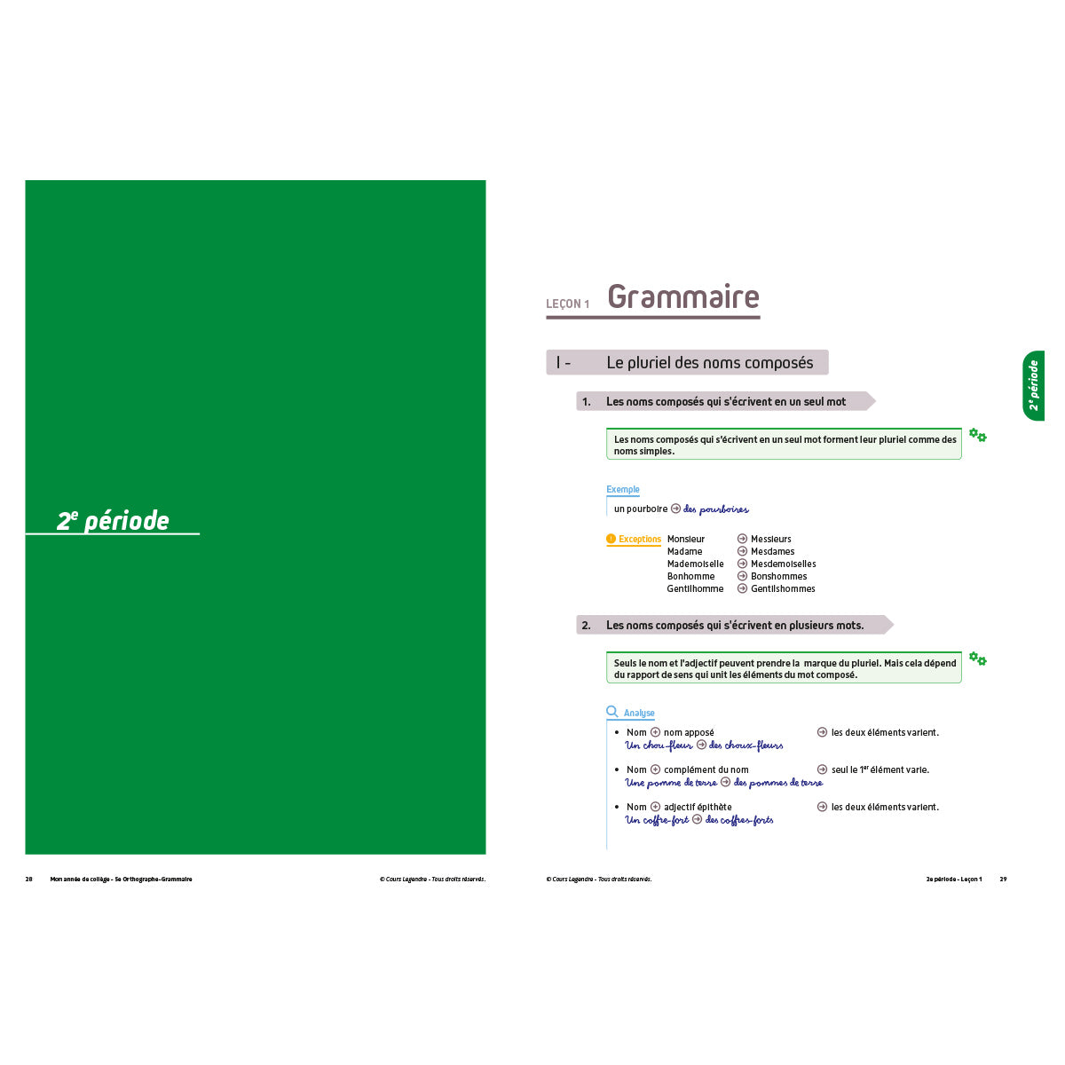 Mon année de collège - Cahier de cours et d'entraînement - Orthographe-Grammaire - 5ème