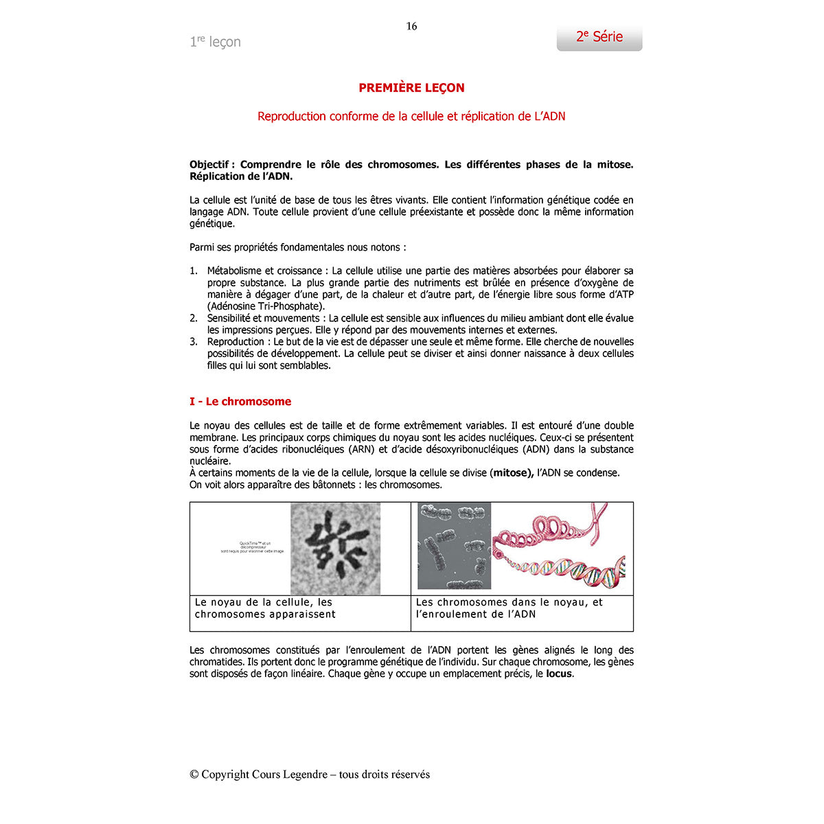 Objectif Bac - 1ère - Spécialité SVT
