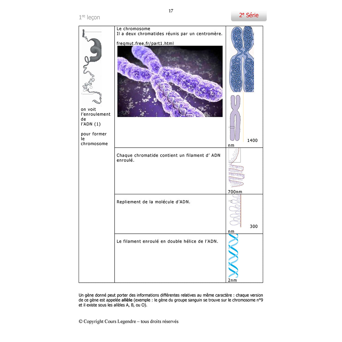 Objectif Bac - 1ère - Spécialité SVT