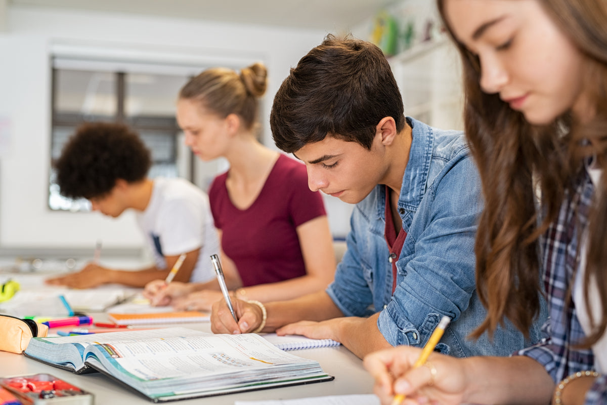 Cours de révision avec devoirs